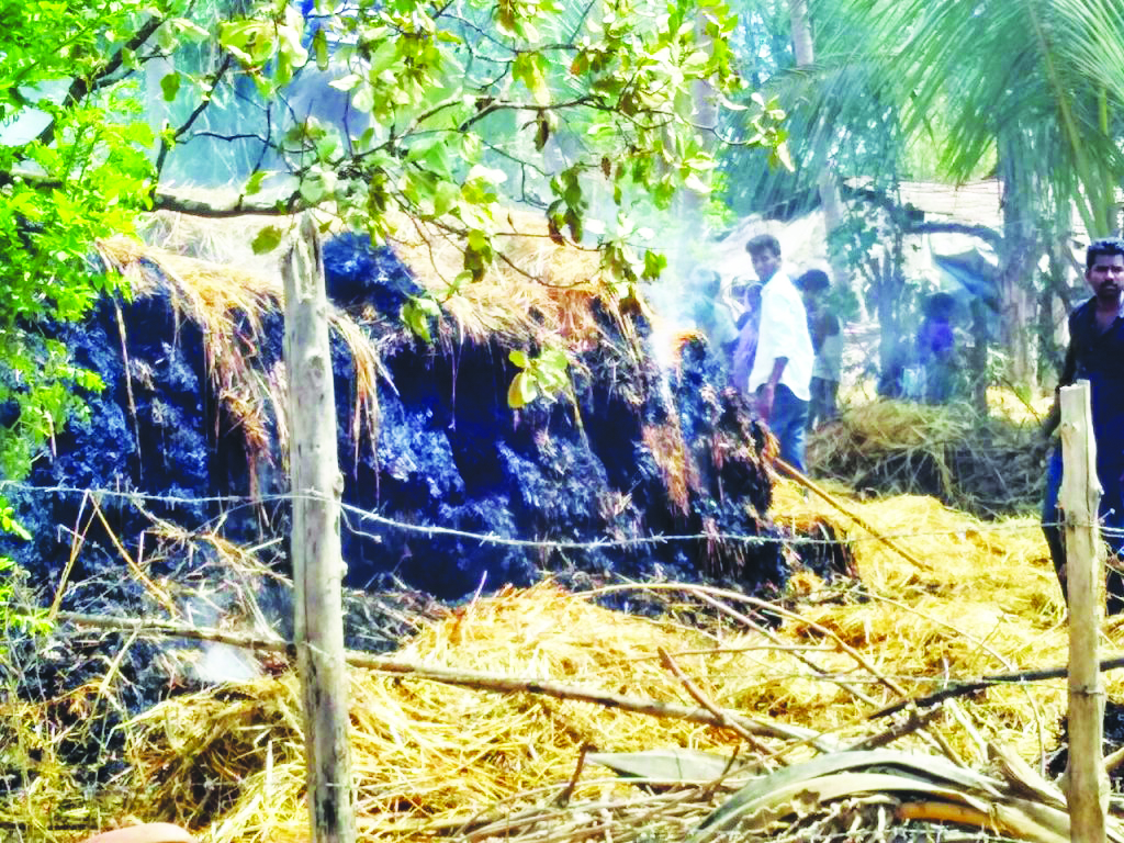 ​ಒಣ ಹುಲ್ಲಿಗೆ ಆಕಸ್ಮಿಕ ಬೆಂಕಿ: ಅಪಾರ ಹಾನಿ